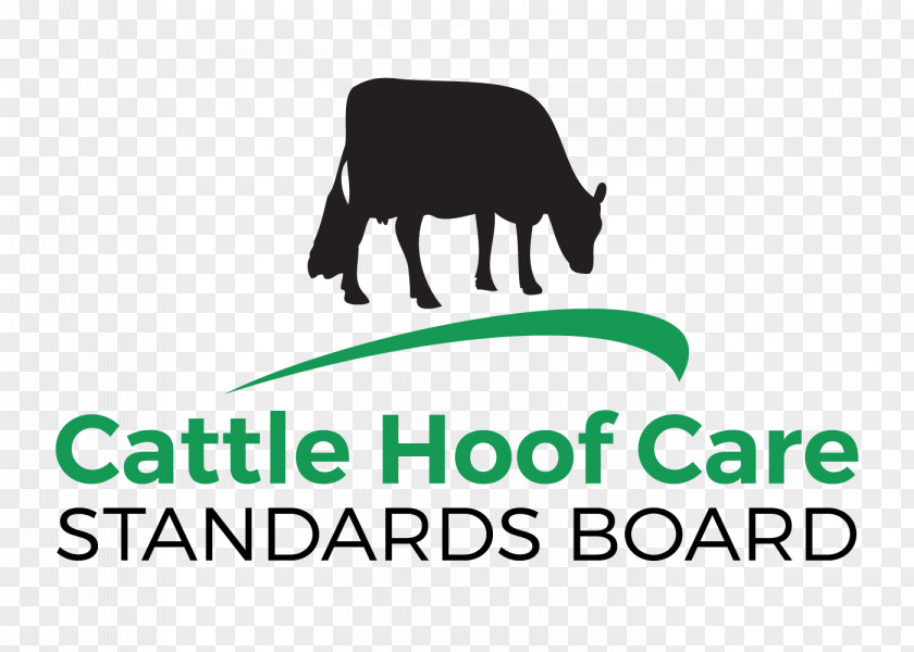 Highland Cattle Logo Clip Art Brand Wildlife PNG