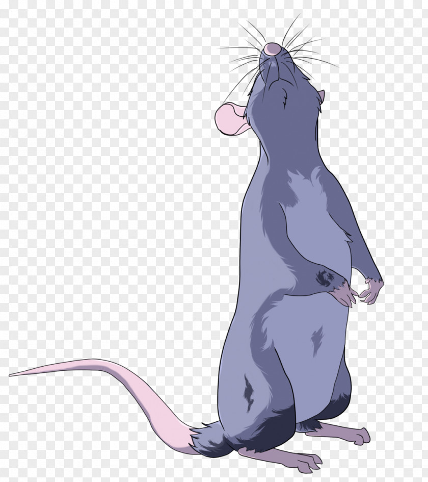 Rat & Mouse Drawing Cat Line Art Sketch PNG