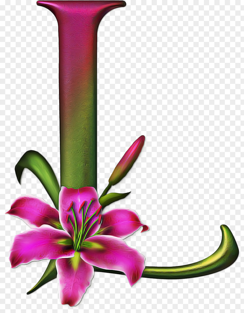 Wildflower Plant Stem Pink Flower Cartoon PNG