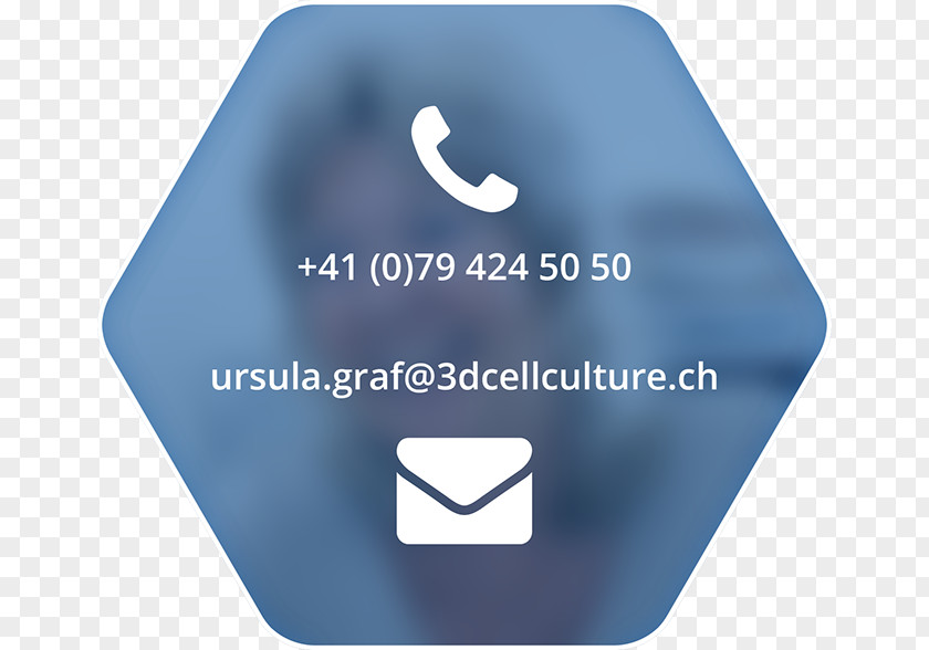 Cell Culture SAS Accounting Services The Colchester Centre STUDIO PASQUINI S.A.S. Amministrazione Condomini Hawkins Road Pisa PNG