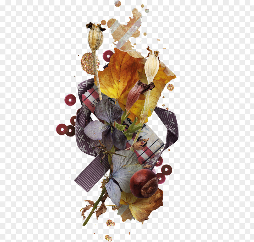 Leaf Floral Design Cut Flowers Petal PNG