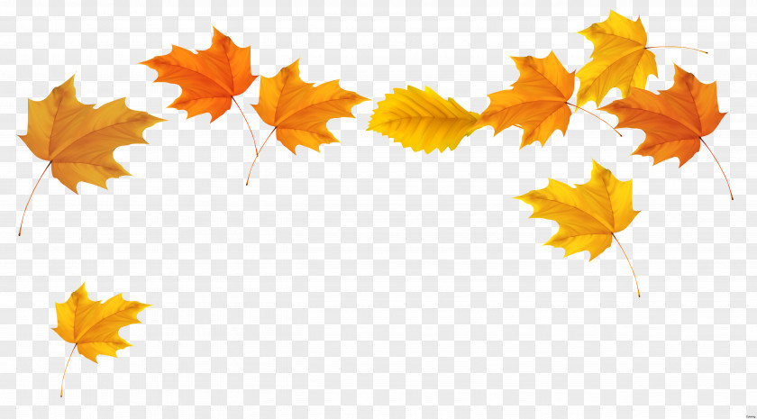 Leaves Autumn Leaf Color Clip Art PNG