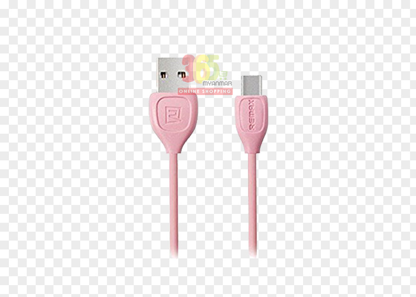 Macbook Electrical Cable MacBook USB-C Data PNG