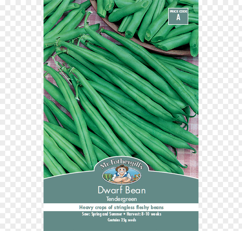 Vegetable Green Bean Common Seed Runner PNG