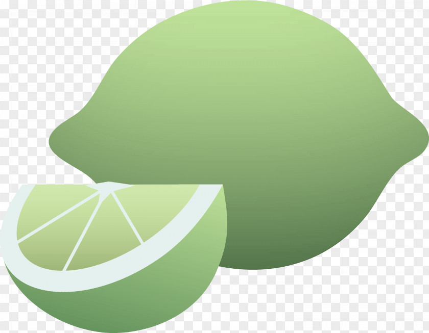 Logo Citrus Green Leaf Lime Fruit Plant PNG