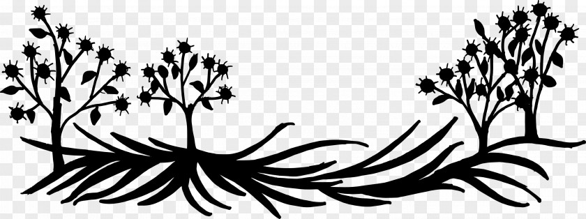 NATURE BACKGROUND Flower Black And White Silhouette Plant Visual Arts PNG