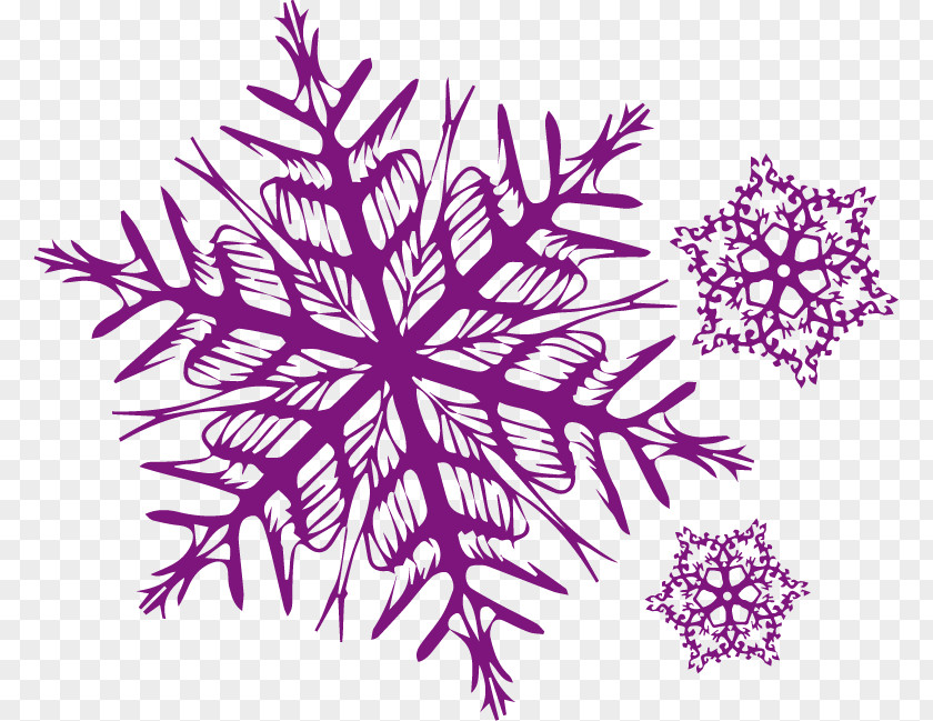 Snow Wish Petal Visual Arts Snowflake Pattern PNG