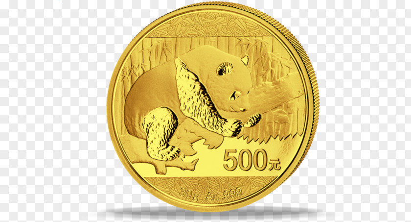 100 Yuan Giant Panda Chinese Gold Coin PNG