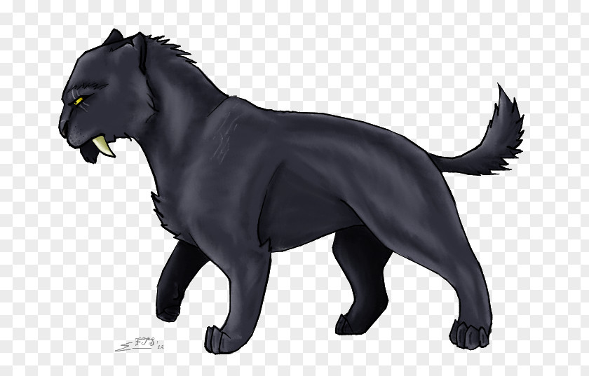 Cat Panther Dog Tovero DeviantArt PNG