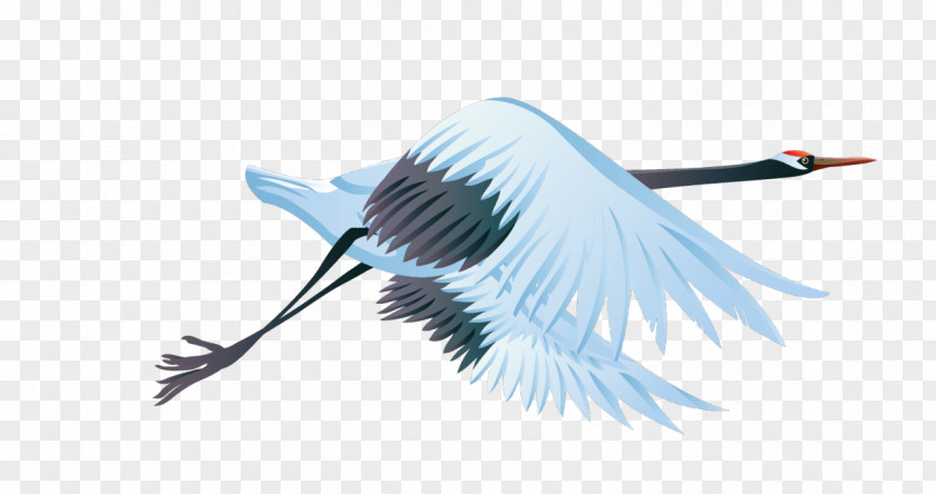 Crane Vector Graphics Illustration Image Bird PNG