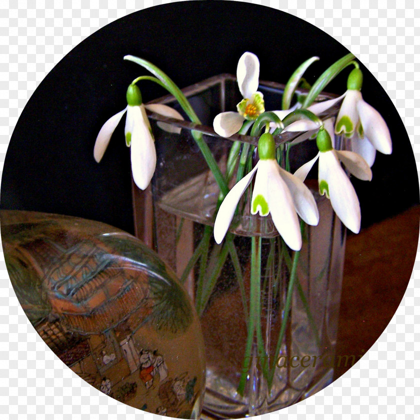 Design Floral Snowdrop PNG