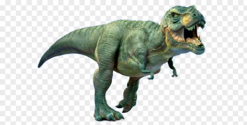 Dinosaur Tyrannosaurus Late Cretaceous Velociraptor Carnivores: Hunter Brachiosaurus PNG