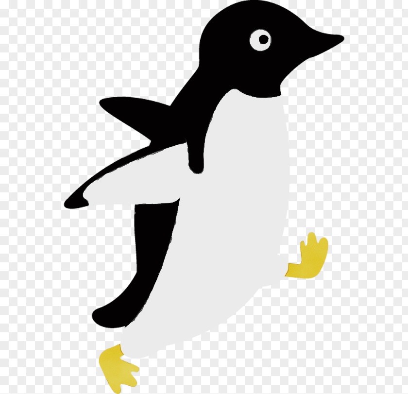 Hummingbird Penguin PNG
