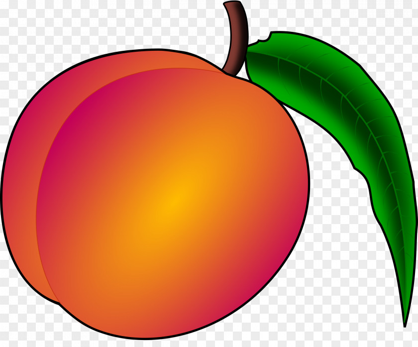 Peach Cliparts Free Content Clip Art PNG