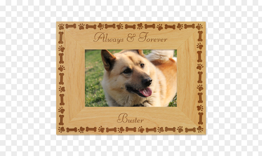 Puppy Dog Breed Icelandic Sheepdog Love Picture Frames PNG