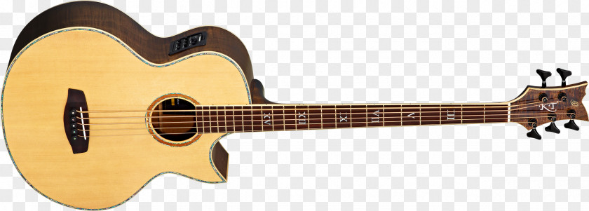 Amancio Ortega Musical Instruments Bass Guitar Acoustic String PNG