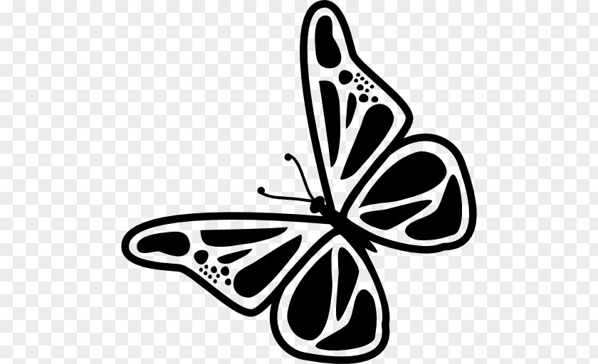 Butterfly Brush-footed Butterflies Insect Drawing Clip Art PNG