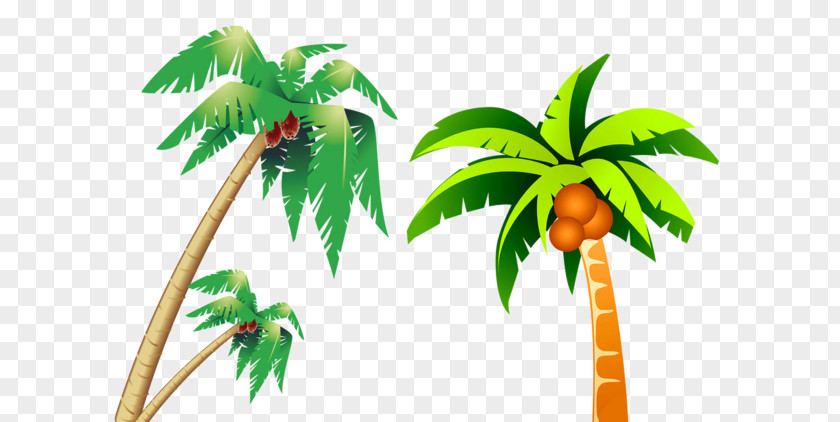 Cartoon Version Of Coconut Tree PNG
