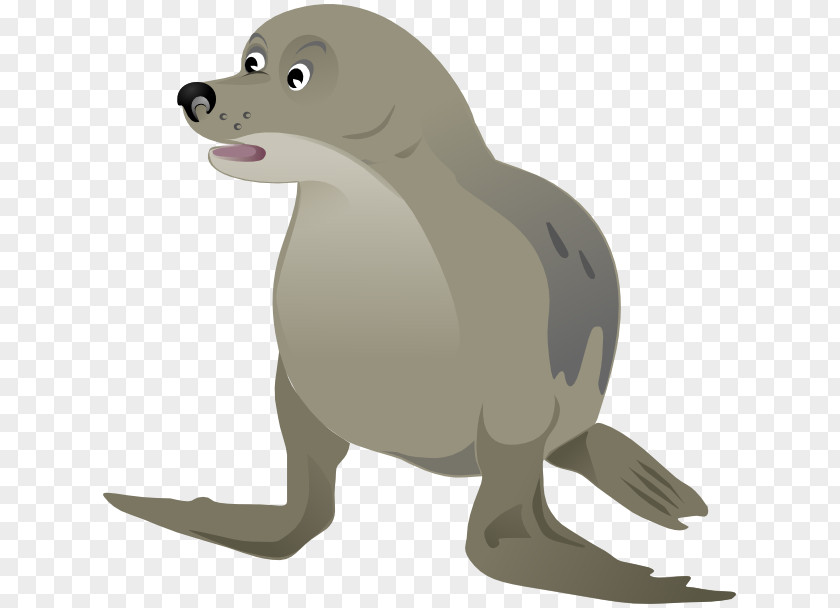 Harbor Seal Sea Lion Pinniped Grey Clip Art PNG