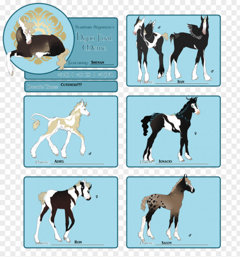 Mustang Dog Breed Stallion Pony PNG