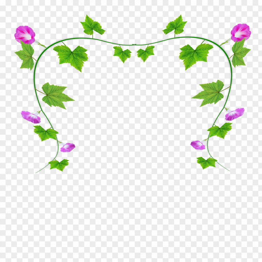 The Trumpet On Green Leaves Ipomoea Nil Flower Clip Art PNG