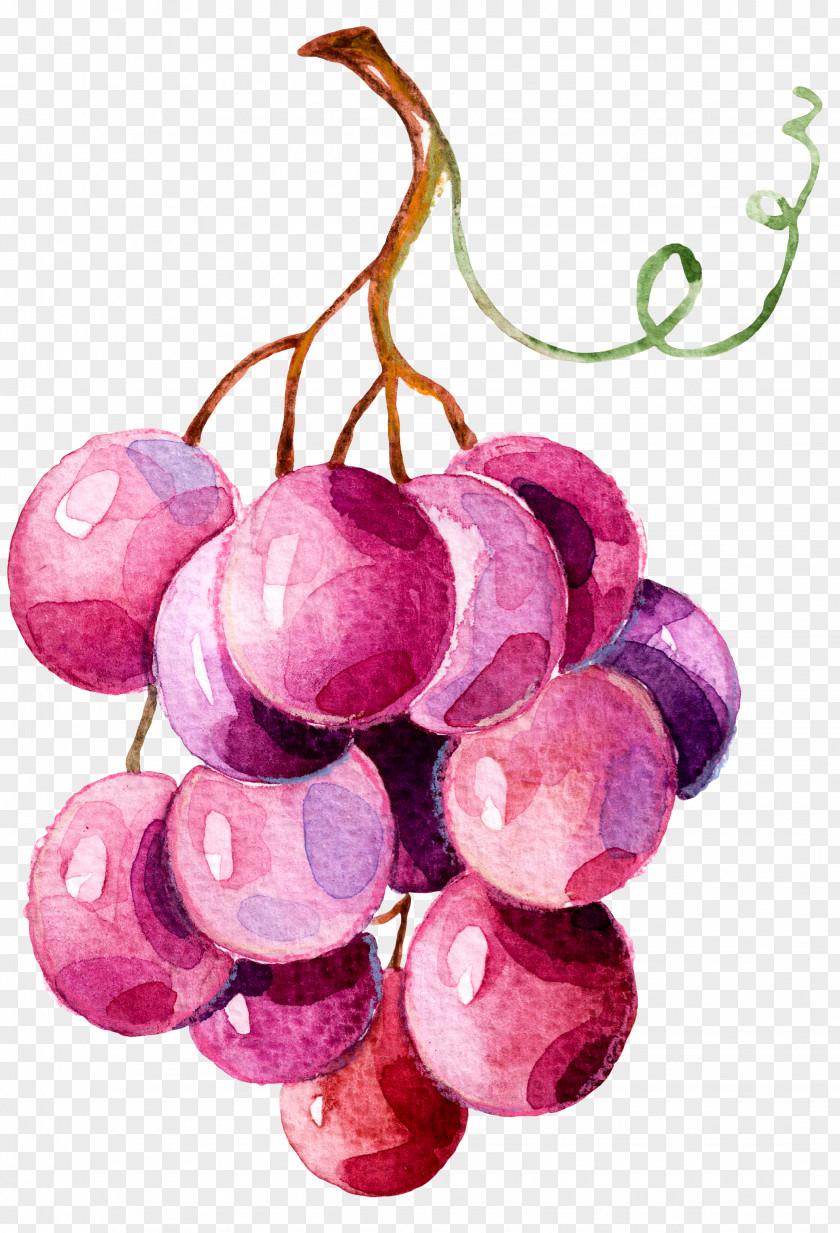Bunch Of Grapes Grape Stock Photography Royalty-free Illustration PNG