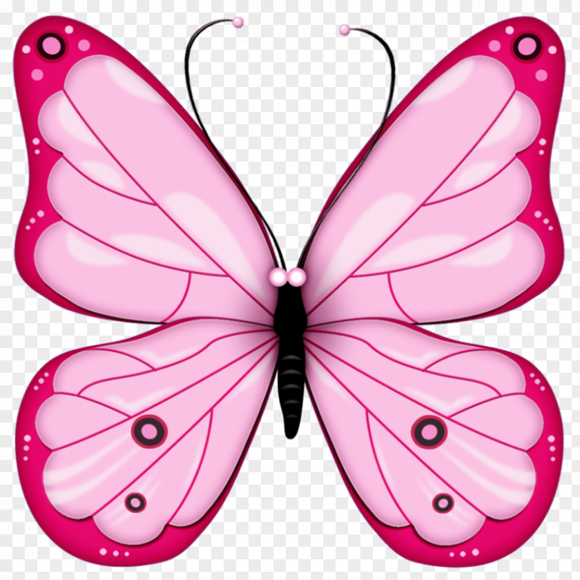 Butterfly Clip Art Openclipart Image Pink PNG