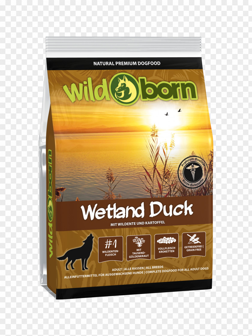 Duck Dog Mallard Torrfoder Wetland PNG