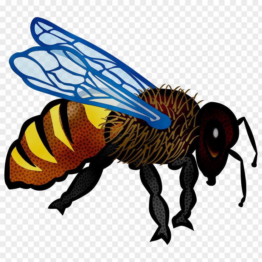 Honey Bee Clip Art Harvest PNG