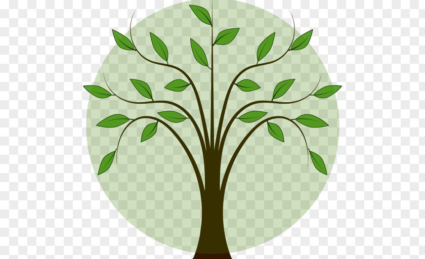 Tree Birch Clip Art PNG