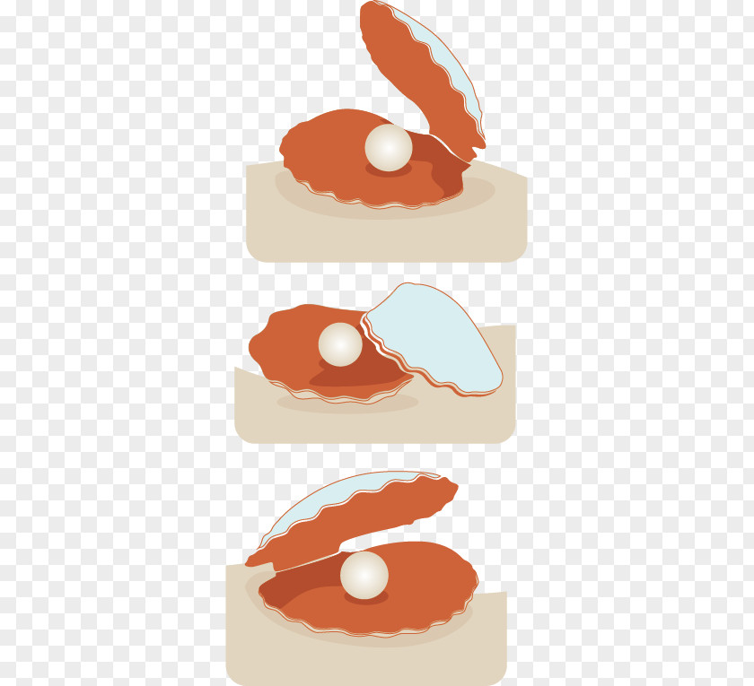 Vector Shell Seashell Vecteur Clip Art PNG