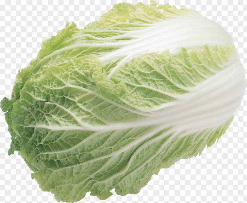 Vegetable Chinese Cabbage Napa Lettuce Choy Sum PNG