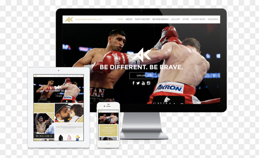 Web Design Search Engine Optimization Boxing E-commerce PNG