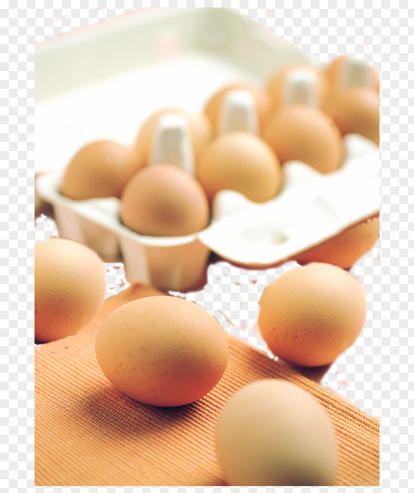 A Box Of Eggs Creatives Boiled Egg Carton PNG