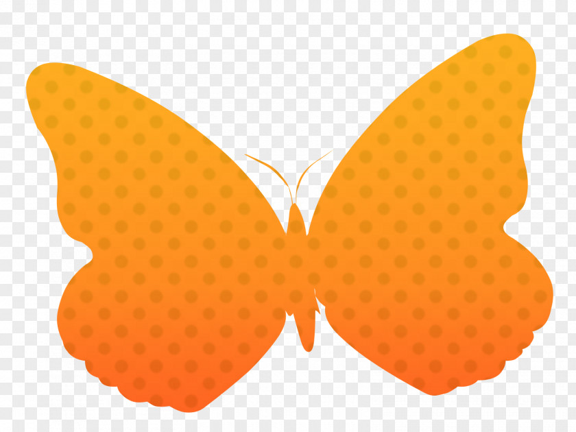 Butterfly Desktop Wallpaper PNG