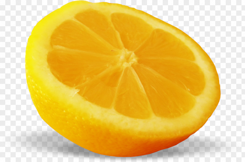 Lemon Citron Honeydew Mandarin Orange Bitter PNG