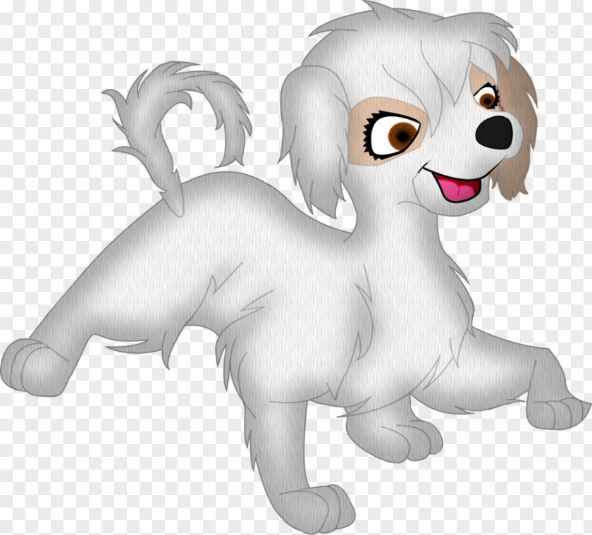 Maltese Shih Tzu Whiskers Puppy Cat Dog Breed Lion PNG