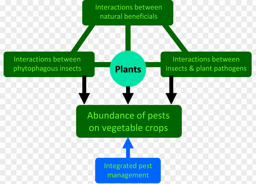 Mathematics Abiotic Component Interaction Technology PNG