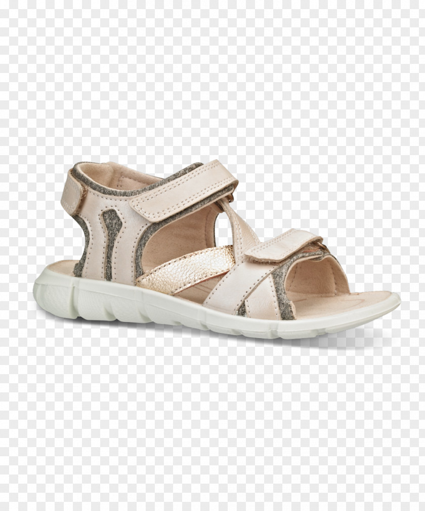 Sandal Shoe ECCO Slide Toe PNG