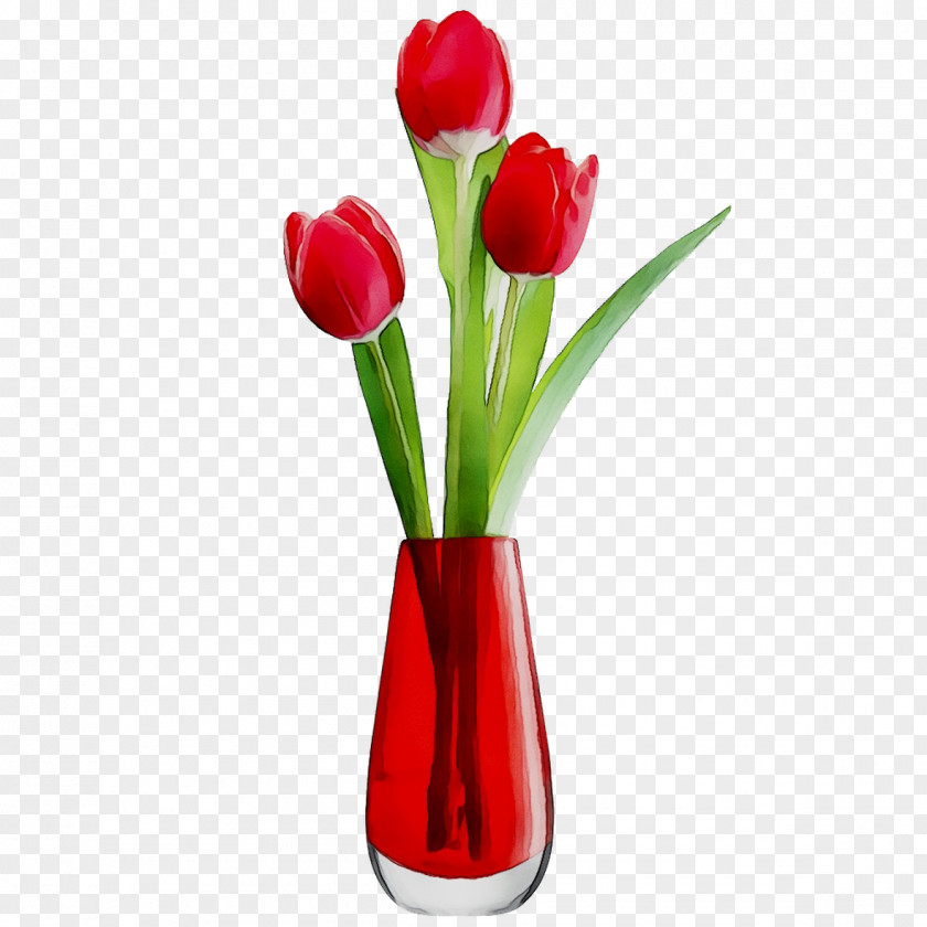 Tulip Flower Vases Bouquet PNG