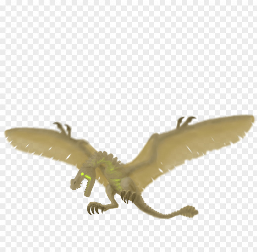 Weird Velociraptor Reptile Insect Fauna PNG