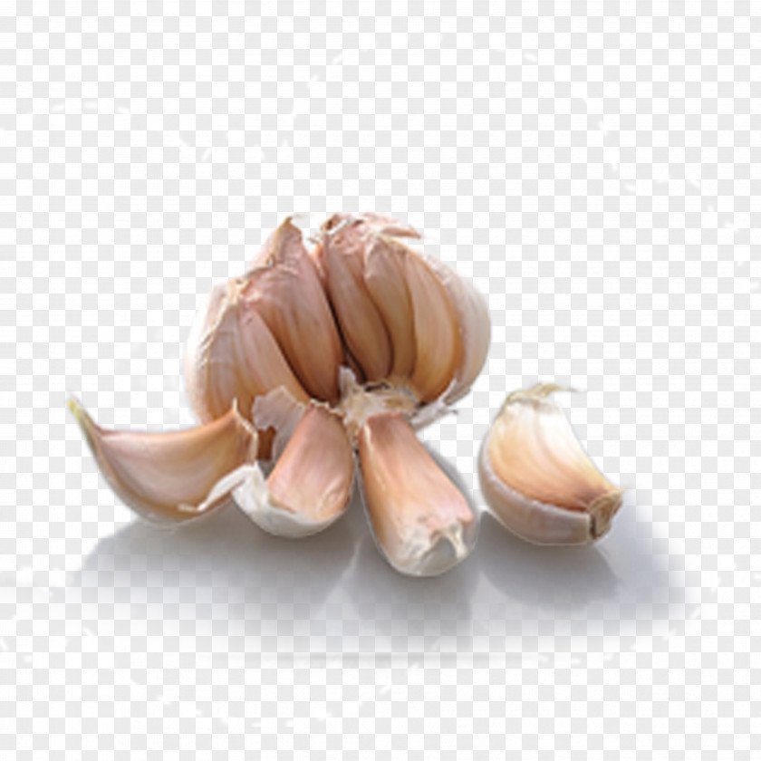 Garlic Bread Condiment Computer File PNG