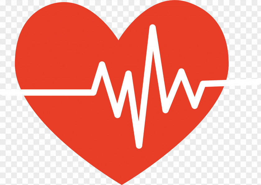 Heartbeat Cartoon Heart Electrocardiography Pulse PNG