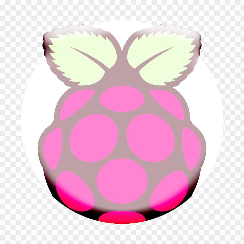 Icon Software Development Logos Raspberry Pi PNG