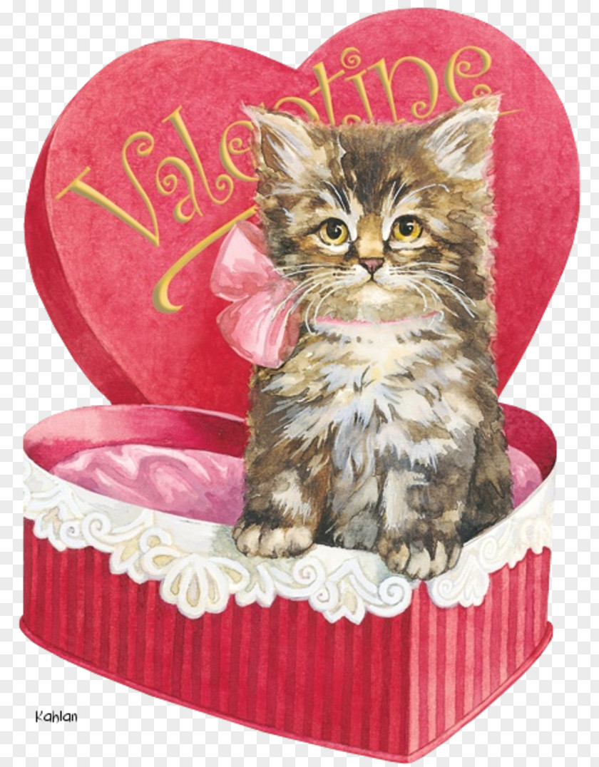 Kitten Cat Whiskers Valentine's Day PNG
