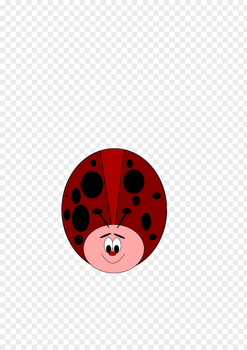 Ladybug Insect Invertebrate Circle Cartoon Animal PNG