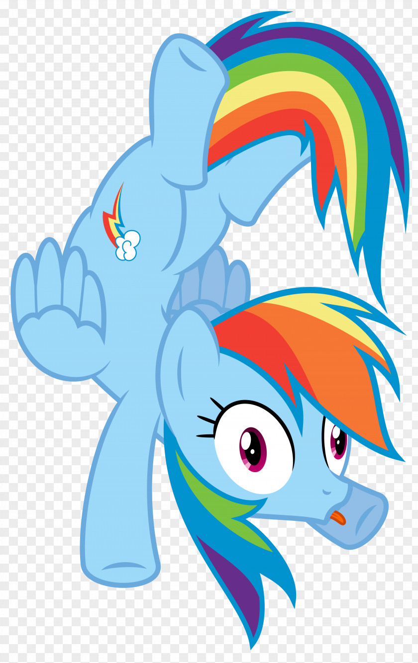 Pegasus Derpy Hooves Pony Rainbow Dash Illustration PNG