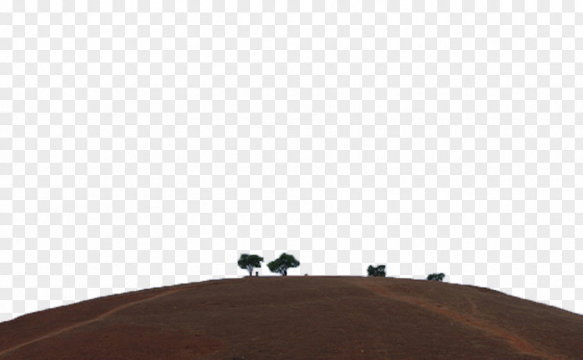 The Small Trees On Hillside Download Icon PNG