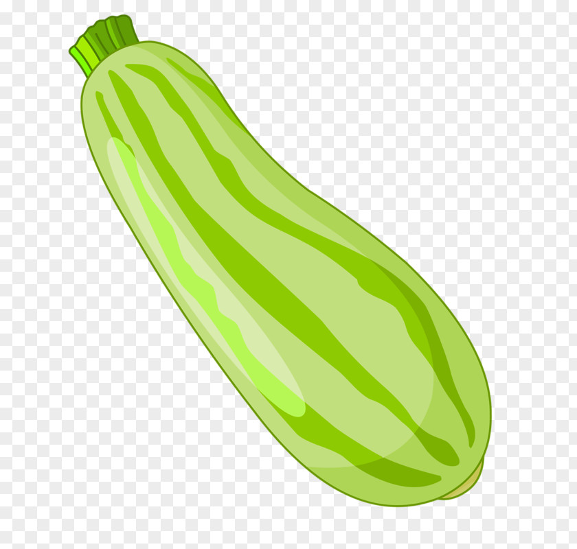 A Green Carrots Designer U852cu679c PNG