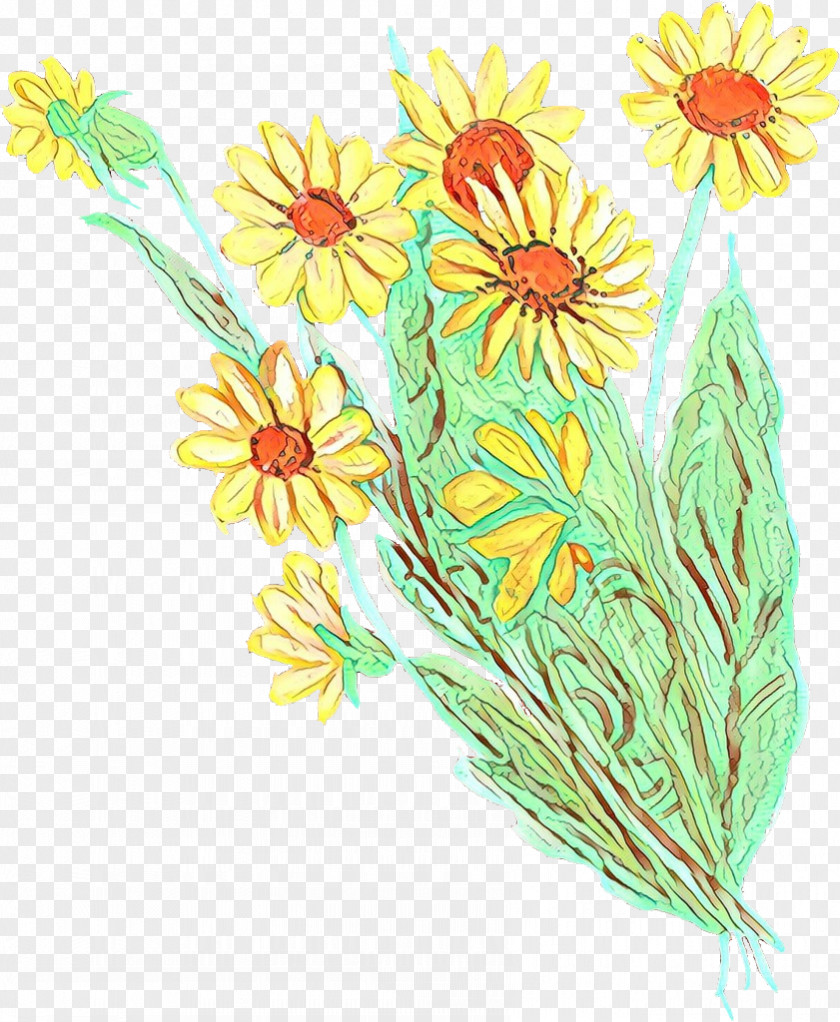 Aster Mayweed Flowers Background PNG